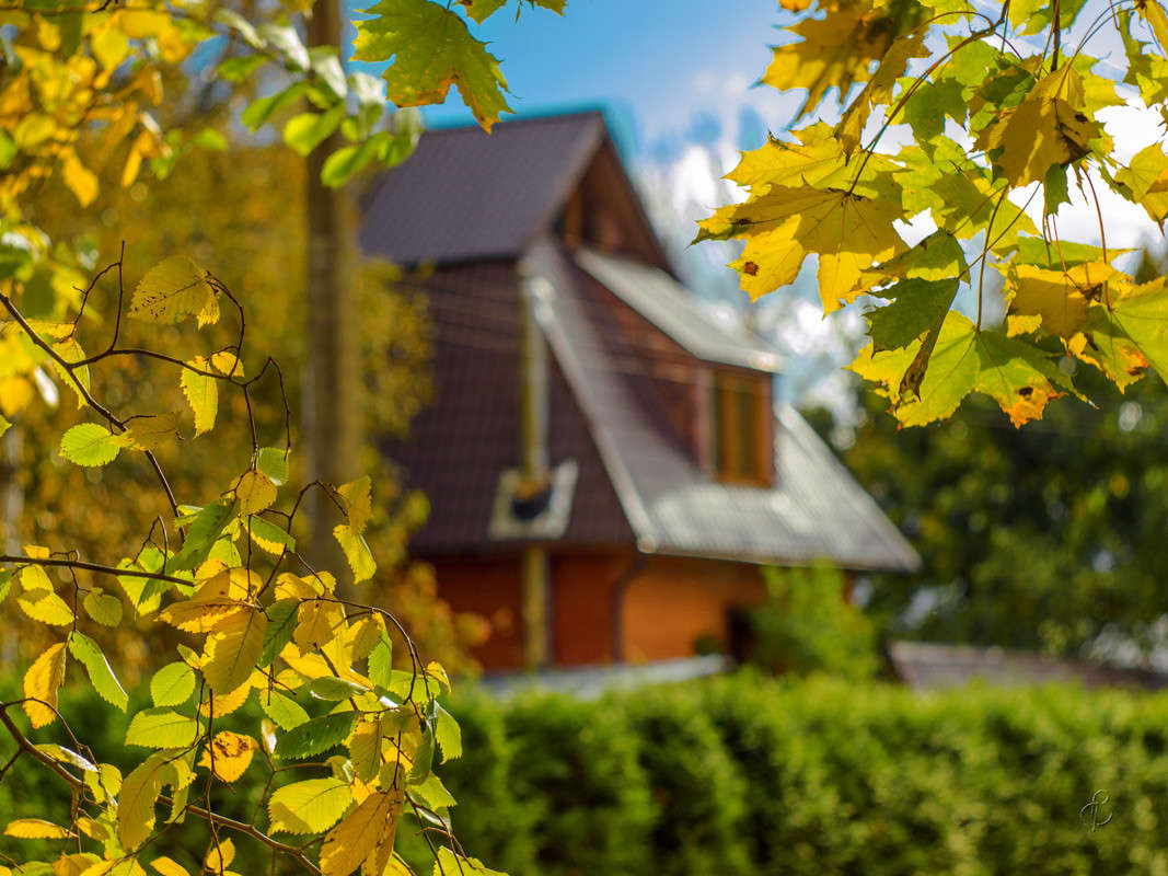 ������� ���� ����� Vitaly Konakov �� PhotoGeek.ru #������ ��� ������� #����� ��������