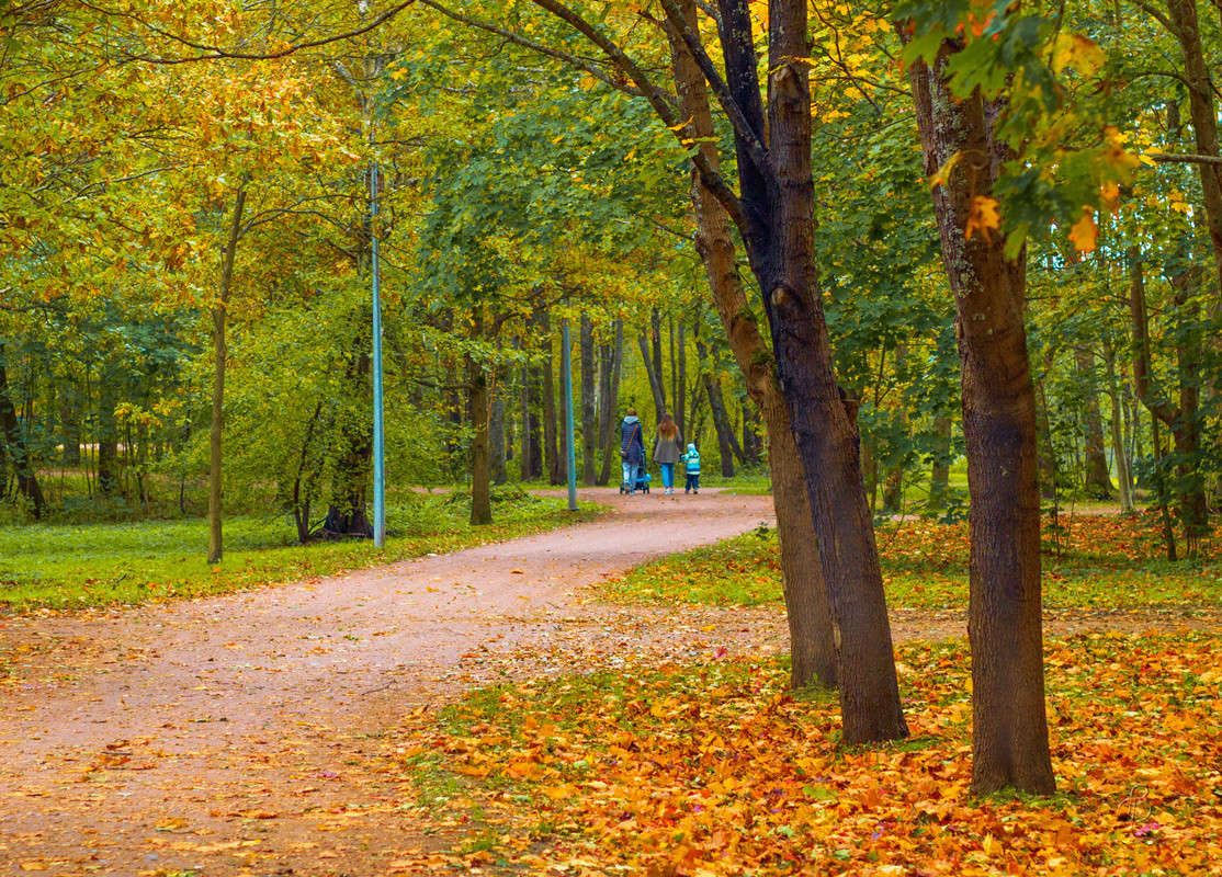 � ������� ����� ����� Vitaly Konakov �� PhotoGeek.ru #������ ��� ������� #����� ��������