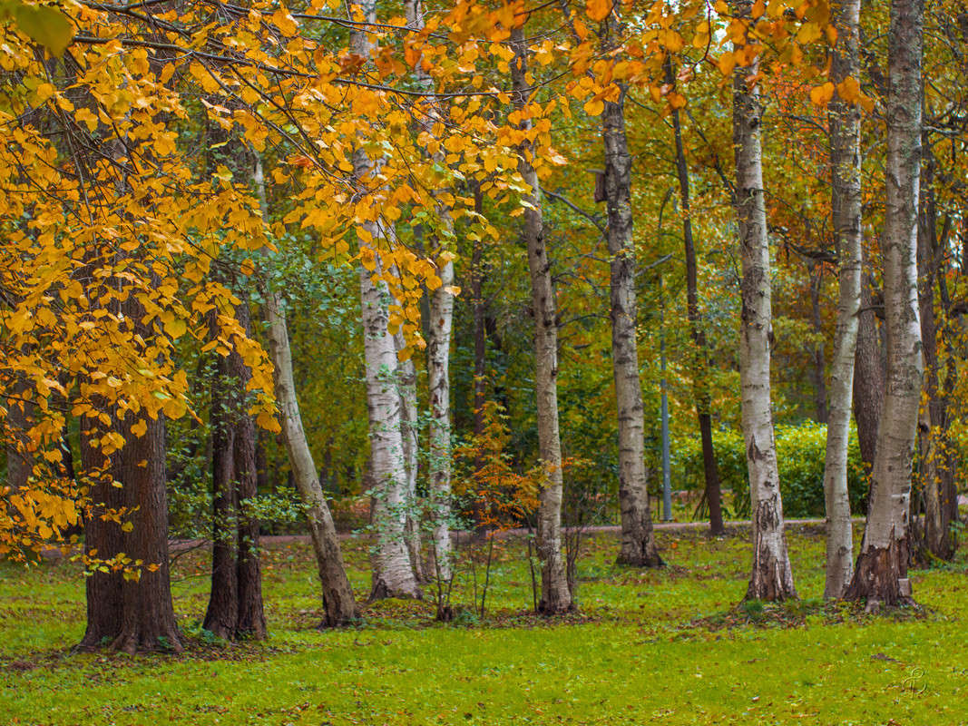 � ������� ����� 2 ����� Vitaly Konakov �� PhotoGeek.ru #������ ��� ������� #����� ��������