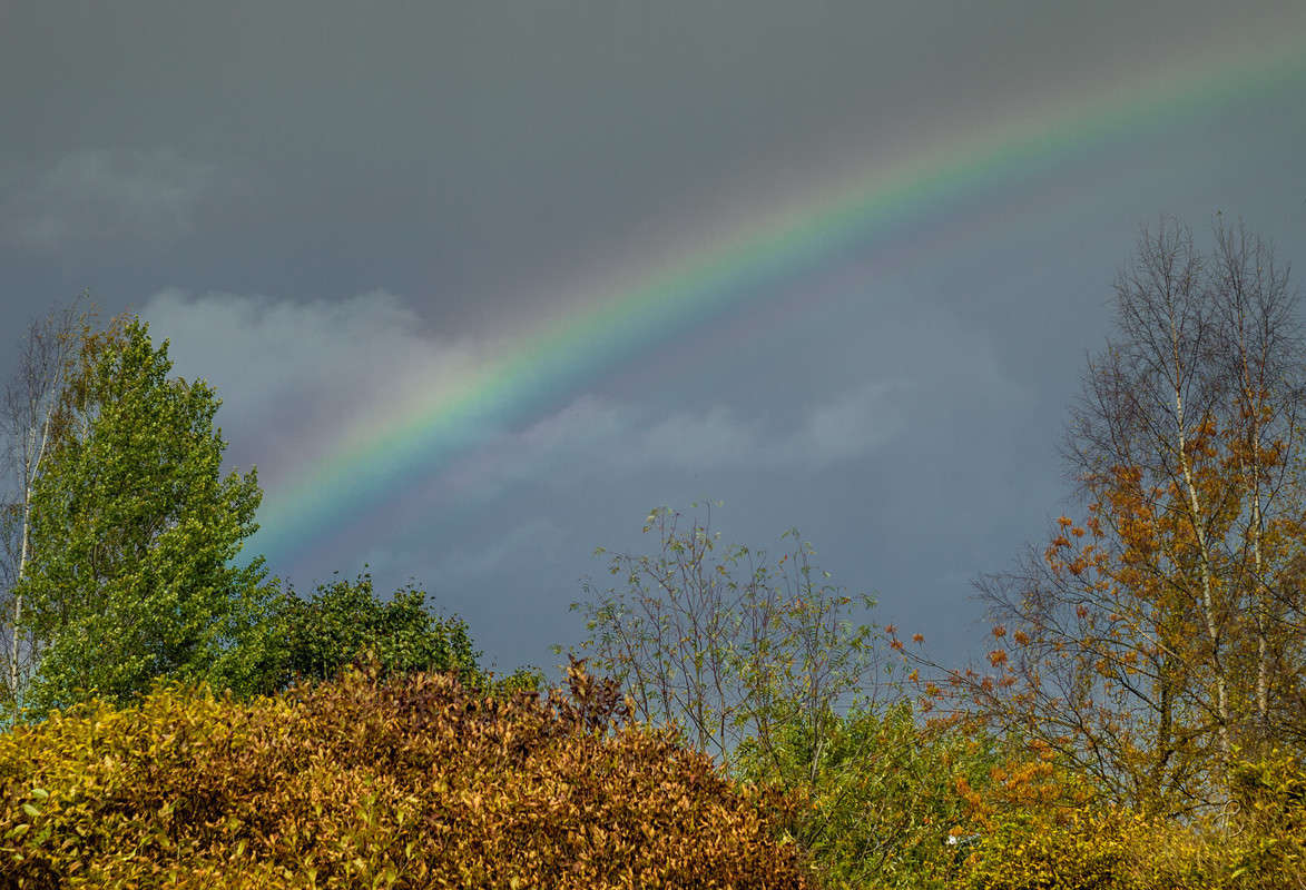 ������ � ������� ����� Vitaly Konakov �� PhotoGeek.ru #������ ��� ������� #����� ��������