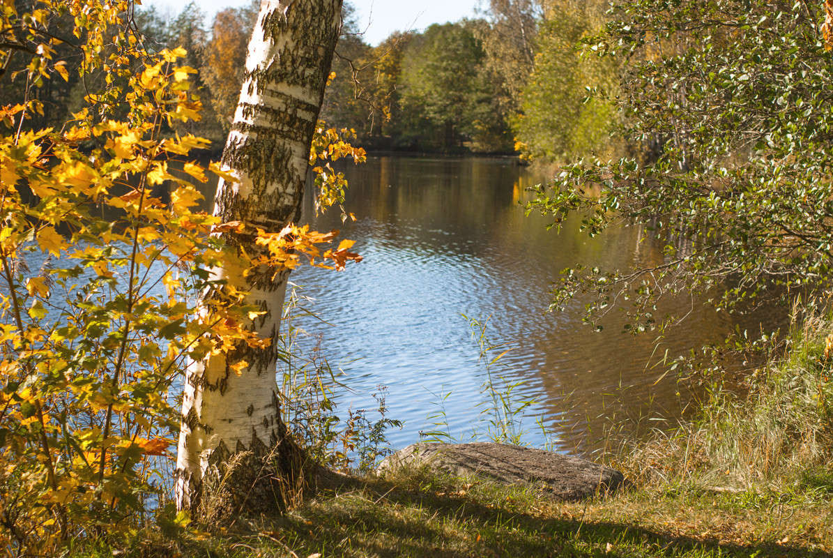 ������� �� �������� ����� Vitaly Konakov �� PhotoGeek.ru #������ ��� ������� #����� ��������