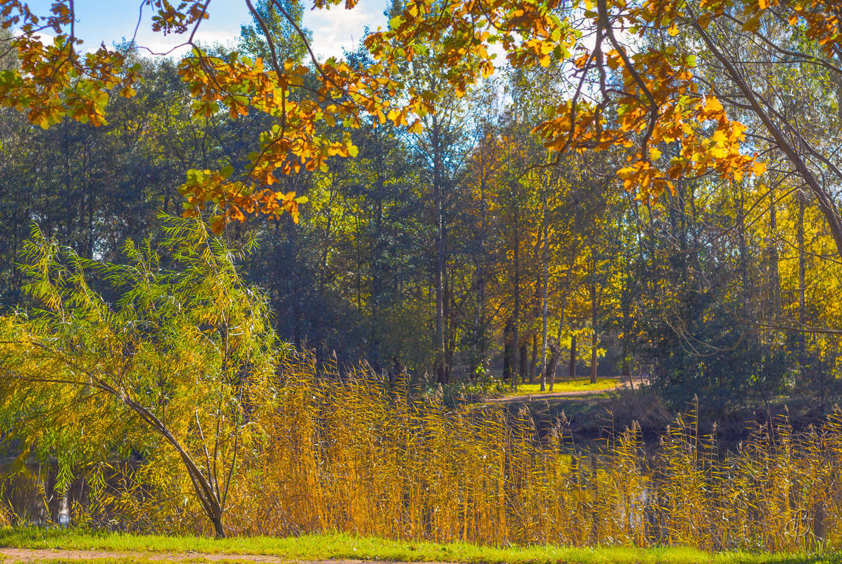 ���� � ������� ����� Vitaly Konakov �� PhotoGeek.ru #������ ��� ������� #����� ��������