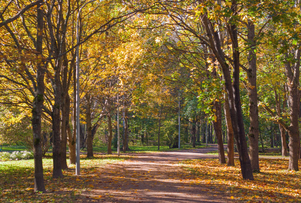 ���� � ������� 2 ����� Vitaly Konakov �� PhotoGeek.ru #������ ��� ������� #����� ��������