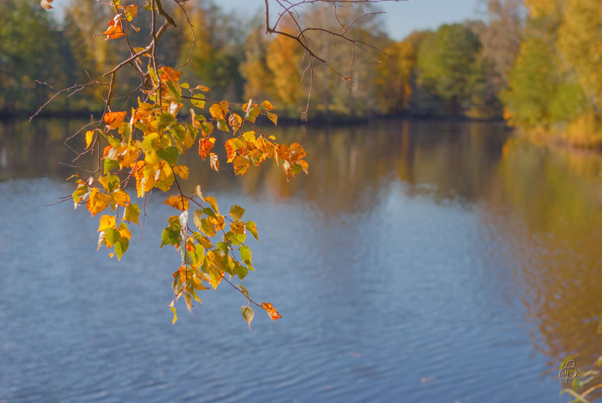 ���� � ������� 3 ����� Vitaly Konakov �� PhotoGeek.ru #������ ��� ������� #����� ��������