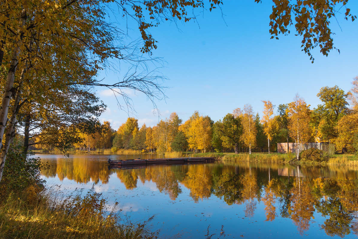 ���� � ������� 4 ����� Vitaly Konakov �� PhotoGeek.ru #������ ��� ������� #����� ��������