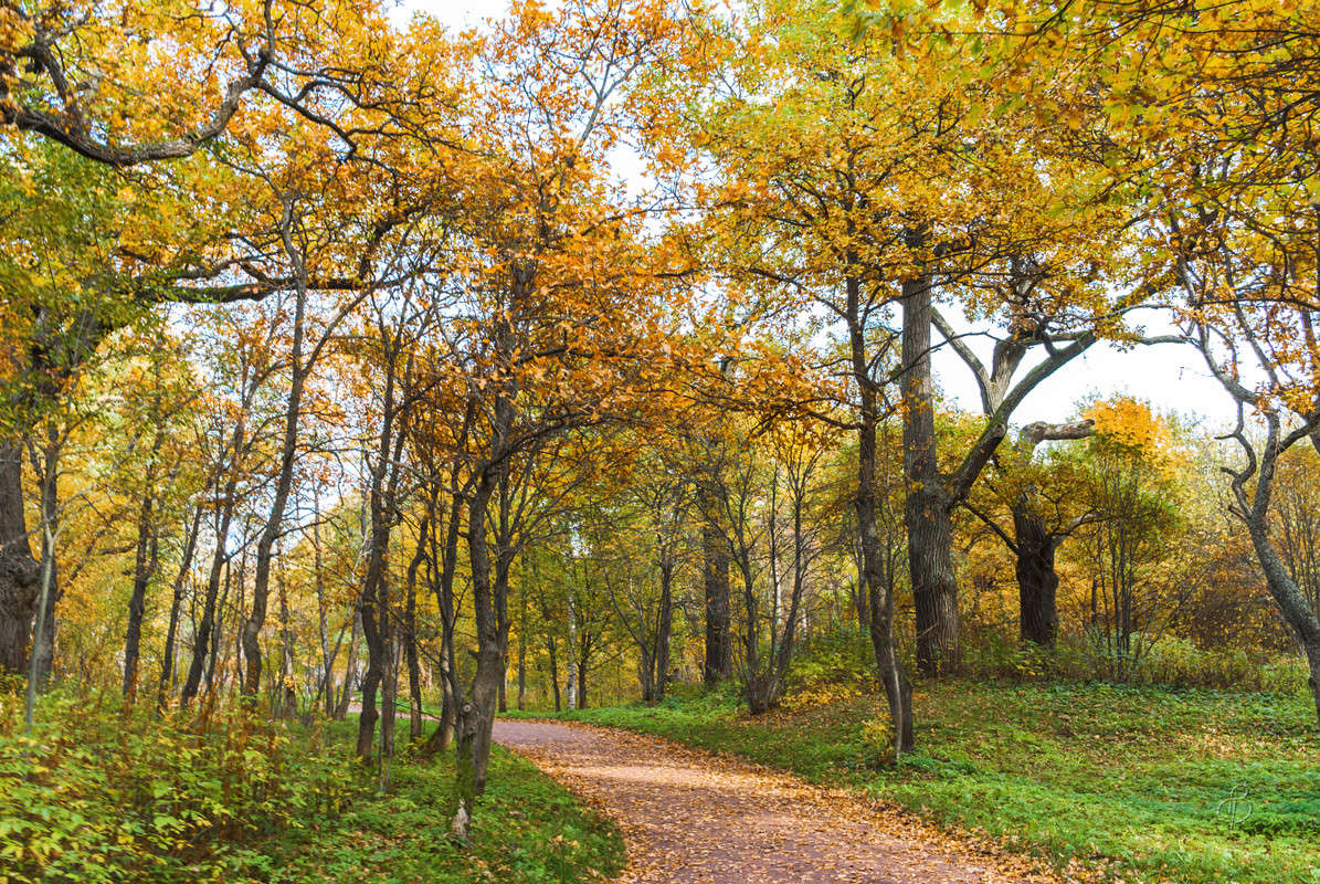 ����� � ����� 8 ����� Vitaly Konakov �� PhotoGeek.ru #������ ��� ������� #����� ��������