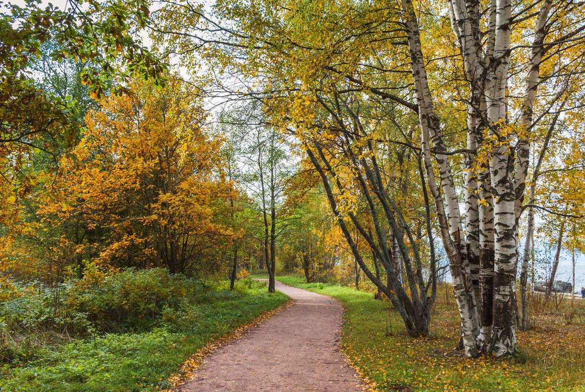 ����� � �����  9 ����� Vitaly Konakov �� PhotoGeek.ru #������ ��� ������� #����� ��������