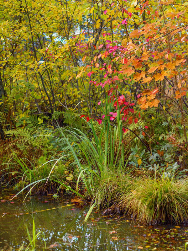 � ������� ����� Vitaly Konakov �� PhotoGeek.ru #������ ��� ������� #����� ��������