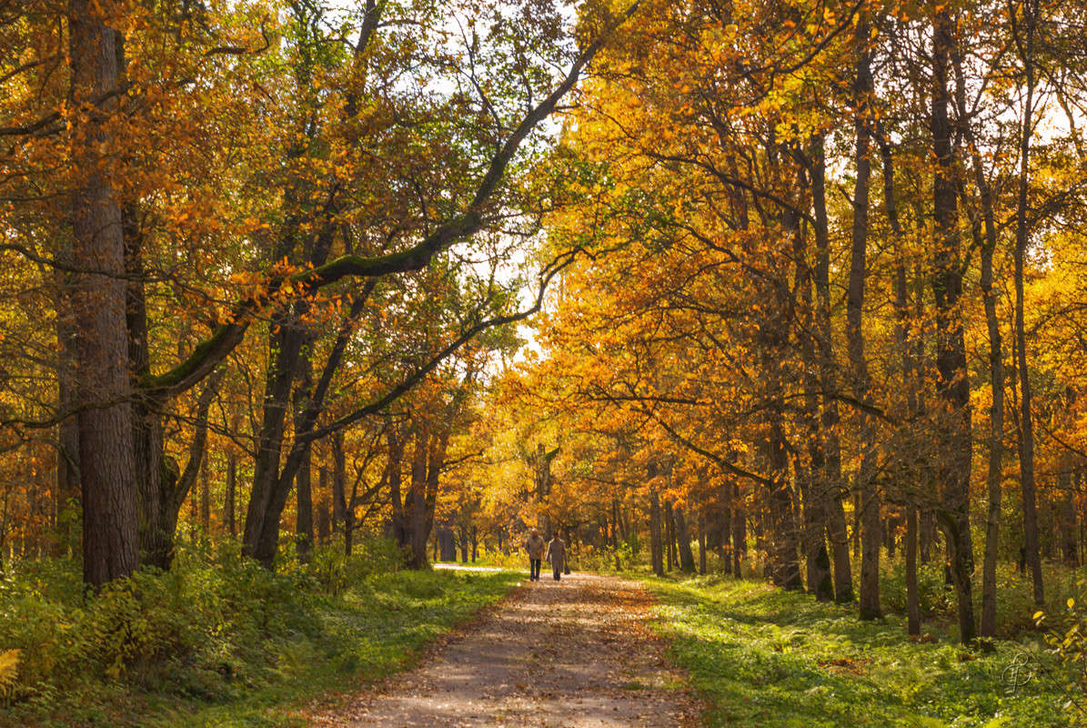 ����� �� �������� ����� ����� Vitaly Konakov �� PhotoGeek.ru #������ ��� ������� #����� ��������