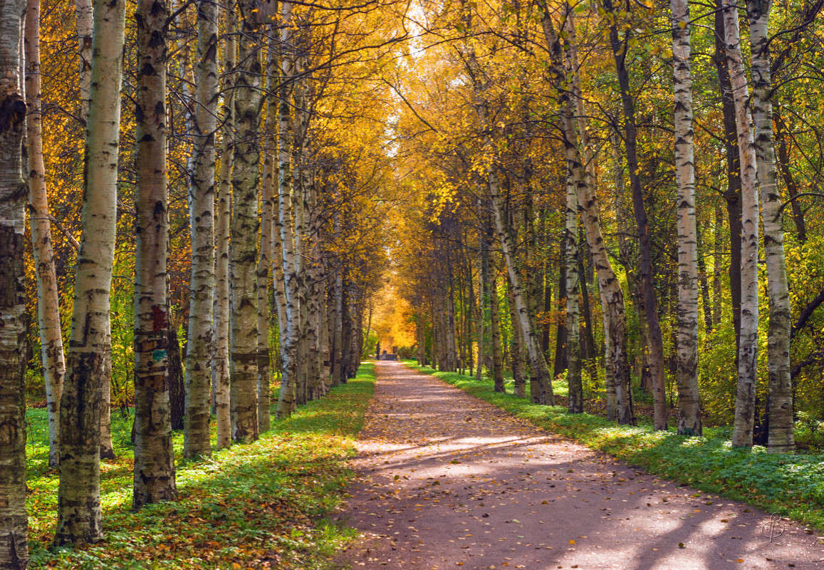 ����� �� �������� ����� ����� Vitaly Konakov �� PhotoGeek.ru #������ ��� ������� #����� ��������