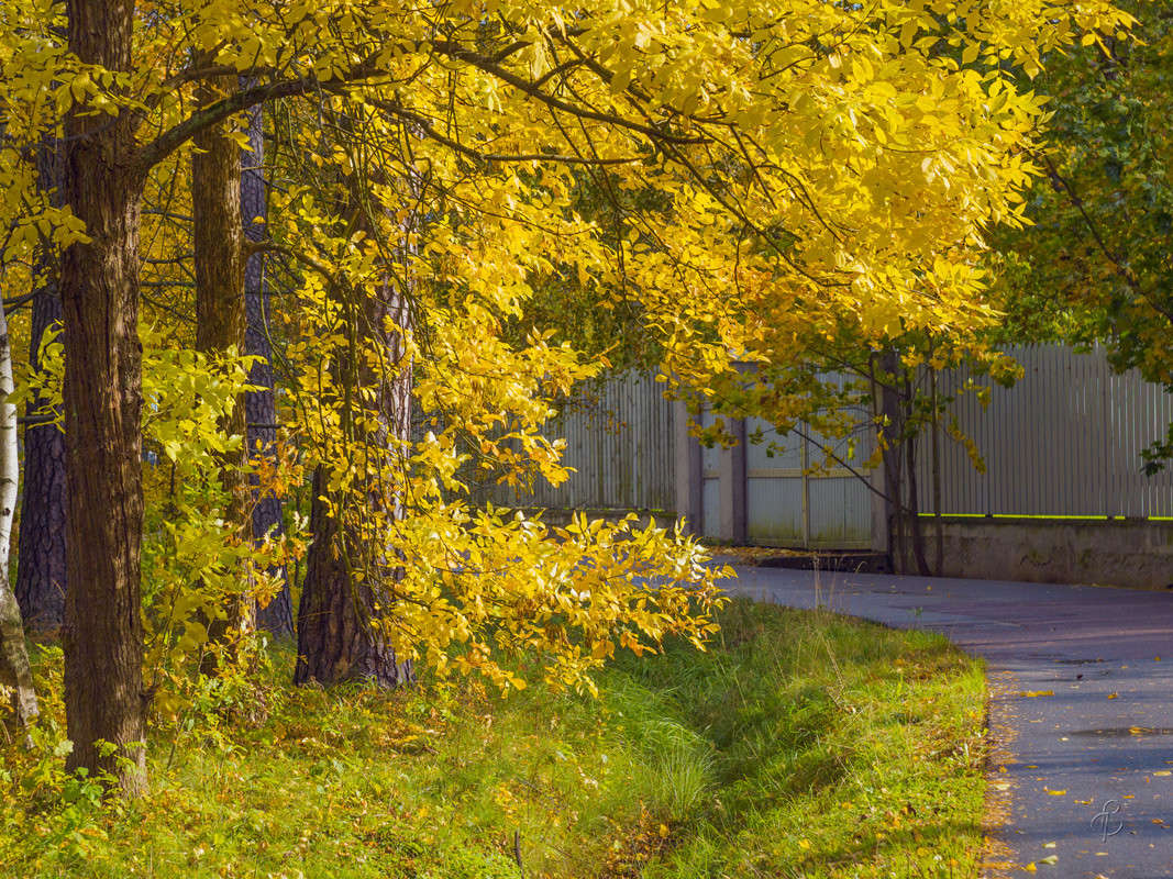 ����� �� �������� ����� ����� Vitaly Konakov �� PhotoGeek.ru #������ ��� ������� #����� ��������