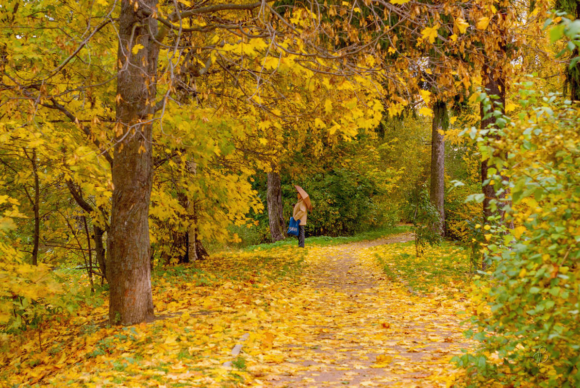 ��� � ������ ����� ����� Vitaly Konakov �� PhotoGeek.ru #������ ��� ������� #����� ��������