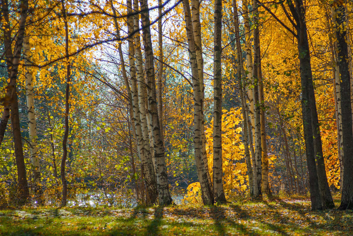 ������ � ����� ����� Vitaly Konakov �� PhotoGeek.ru #������ ��� ������� #����� ��������