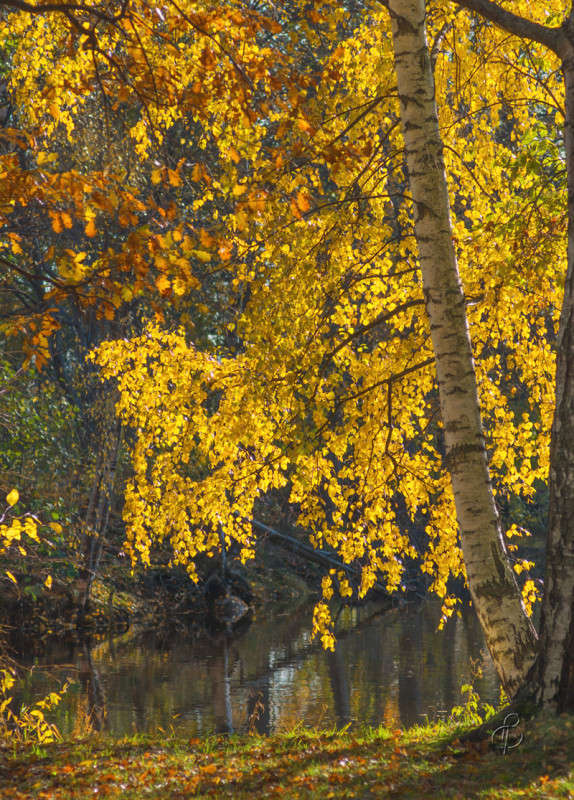 ������ � ����� ����� Vitaly Konakov �� PhotoGeek.ru #������ ��� ������� #����� ��������