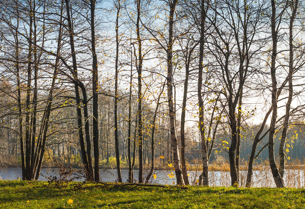 �� ������� ����� ����� Vitaly Konakov �� PhotoGeek.ru #������ ��� ������� #����� ��������