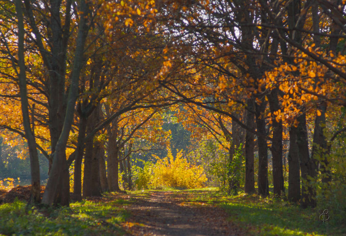 ��� ������ ������ ������� ����� Vitaly Konakov �� PhotoGeek.ru #������ ��� ������� #����� ��������