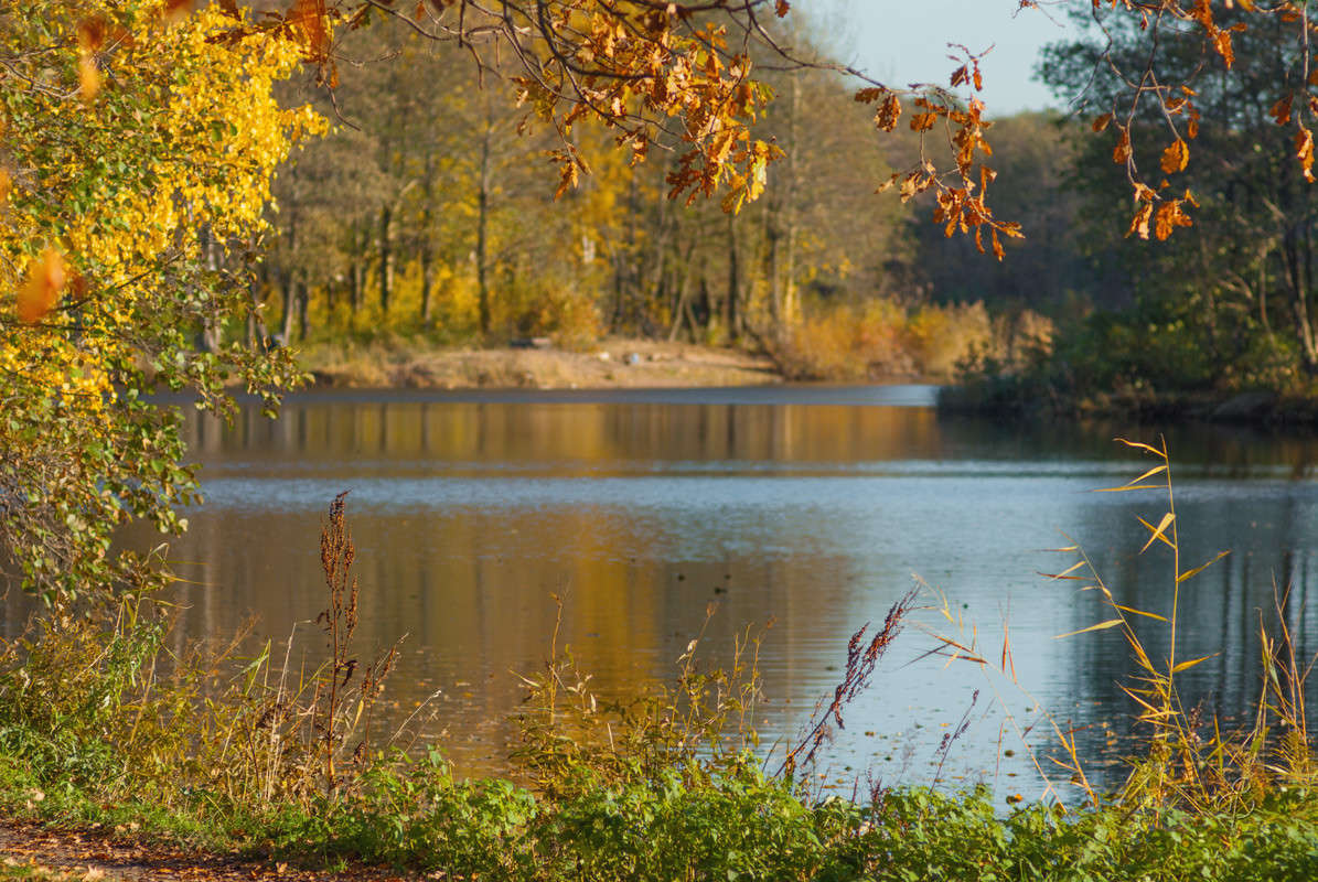 ������ ����� ����� Vitaly Konakov �� PhotoGeek.ru #������ ��� ������� #����� ��������