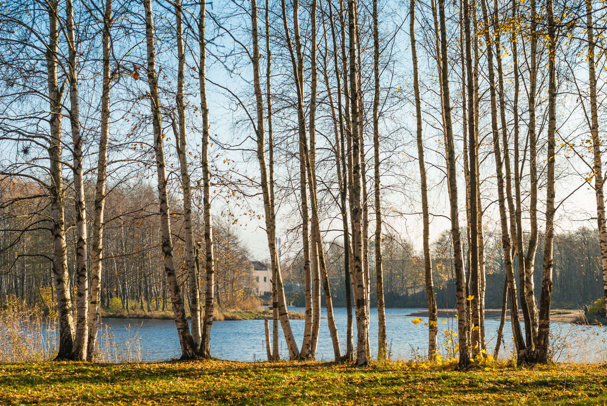 ���������� ����� ����� Vitaly Konakov �� PhotoGeek.ru #������ ��� ������� #����� ��������