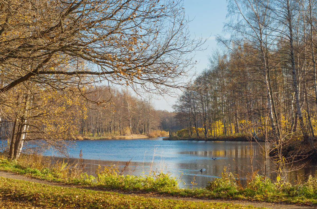 ���������� ����� 3 ����� Vitaly Konakov �� PhotoGeek.ru #������ ��� ������� #����� ��������