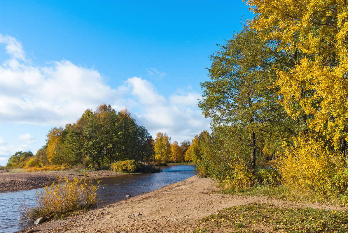 � ����� "�����" ����� Vitaly Konakov �� PhotoGeek.ru #������ ��� ������� #����� ��������