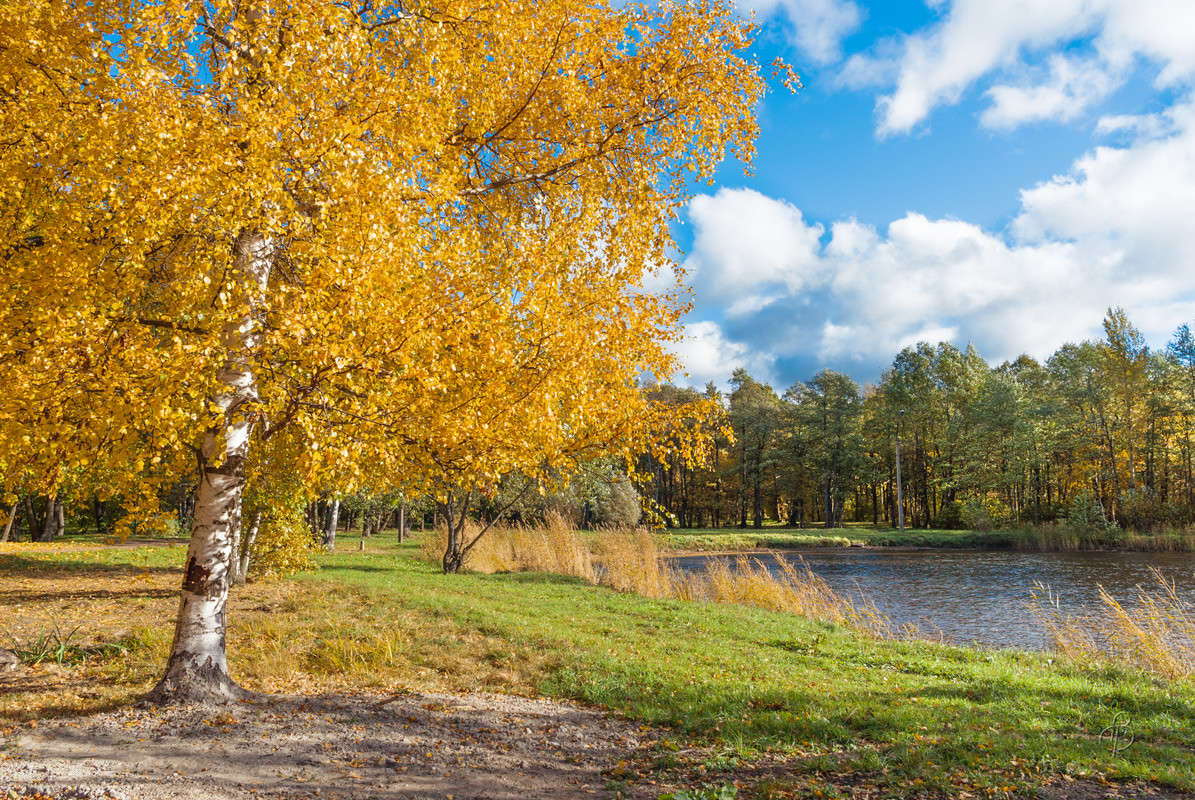 ������� ����� ����� Vitaly Konakov �� PhotoGeek.ru #������ ��� ������� #����� ��������