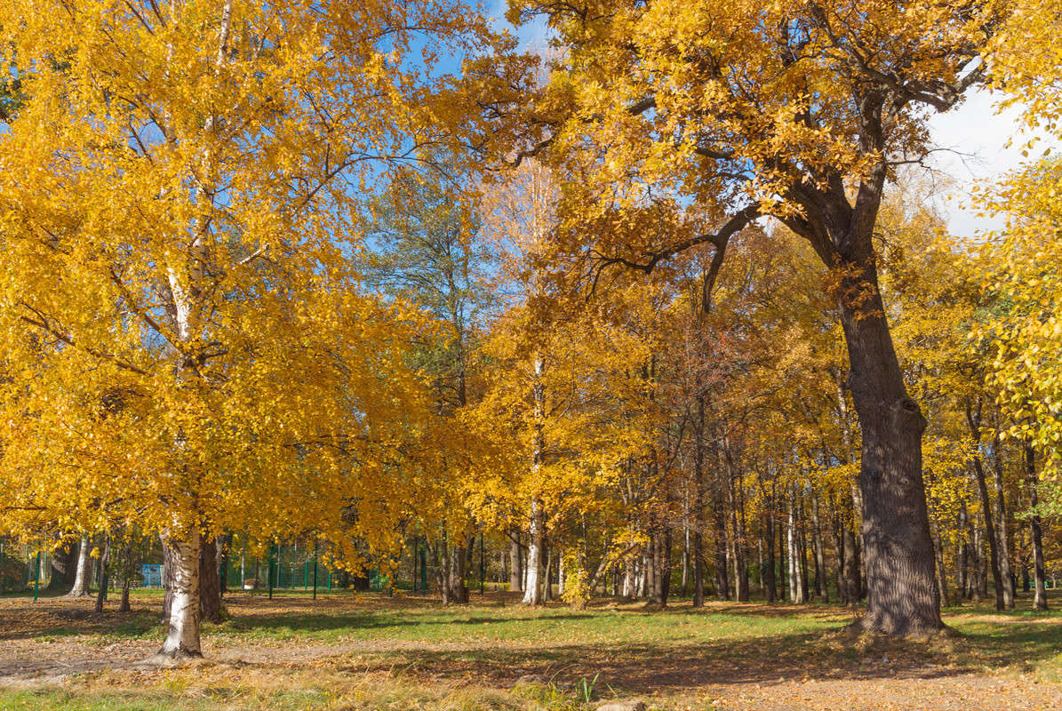 � ������� ��������� ����� Vitaly Konakov �� PhotoGeek.ru #������ ��� ������� #����� ��������