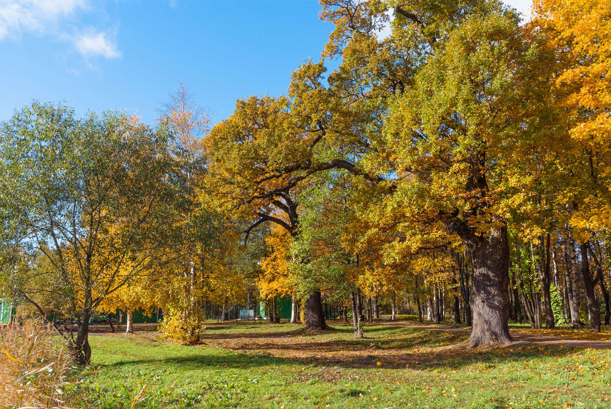 � ������ ����� ����� Vitaly Konakov �� PhotoGeek.ru #������ ��� ������� #����� ��������
