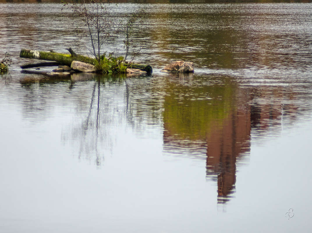 ��������� ����� Vitaly Konakov �� PhotoGeek.ru #������ ��� ������� #����� ��������