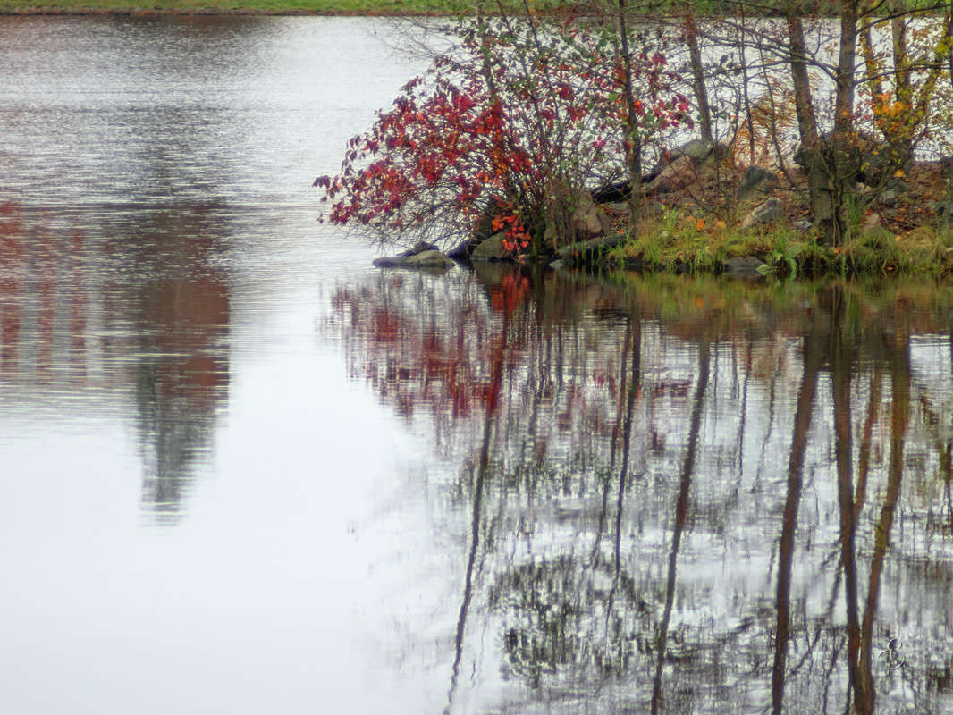 ��������� 2 ����� Vitaly Konakov �� PhotoGeek.ru #������ ��� ������� #����� ��������