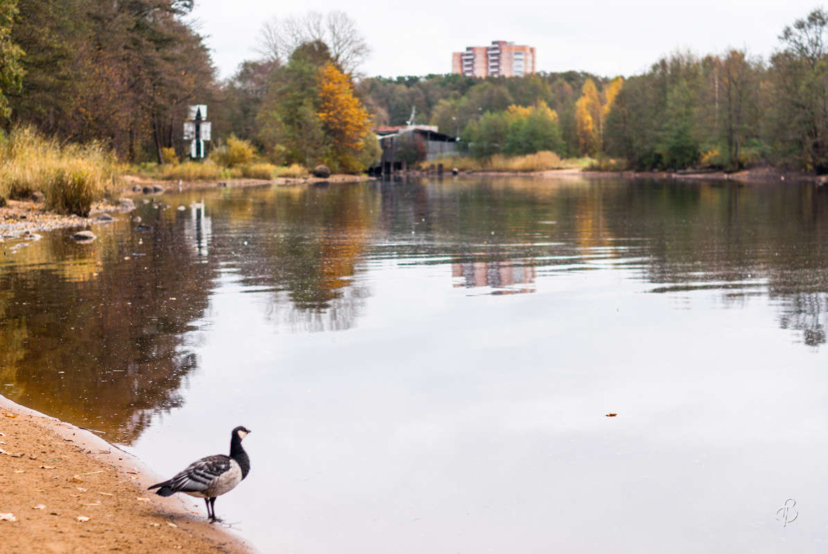 ���� � ��������� �������� ����� Vitaly Konakov �� PhotoGeek.ru #������ ��� ������� #����� ��������