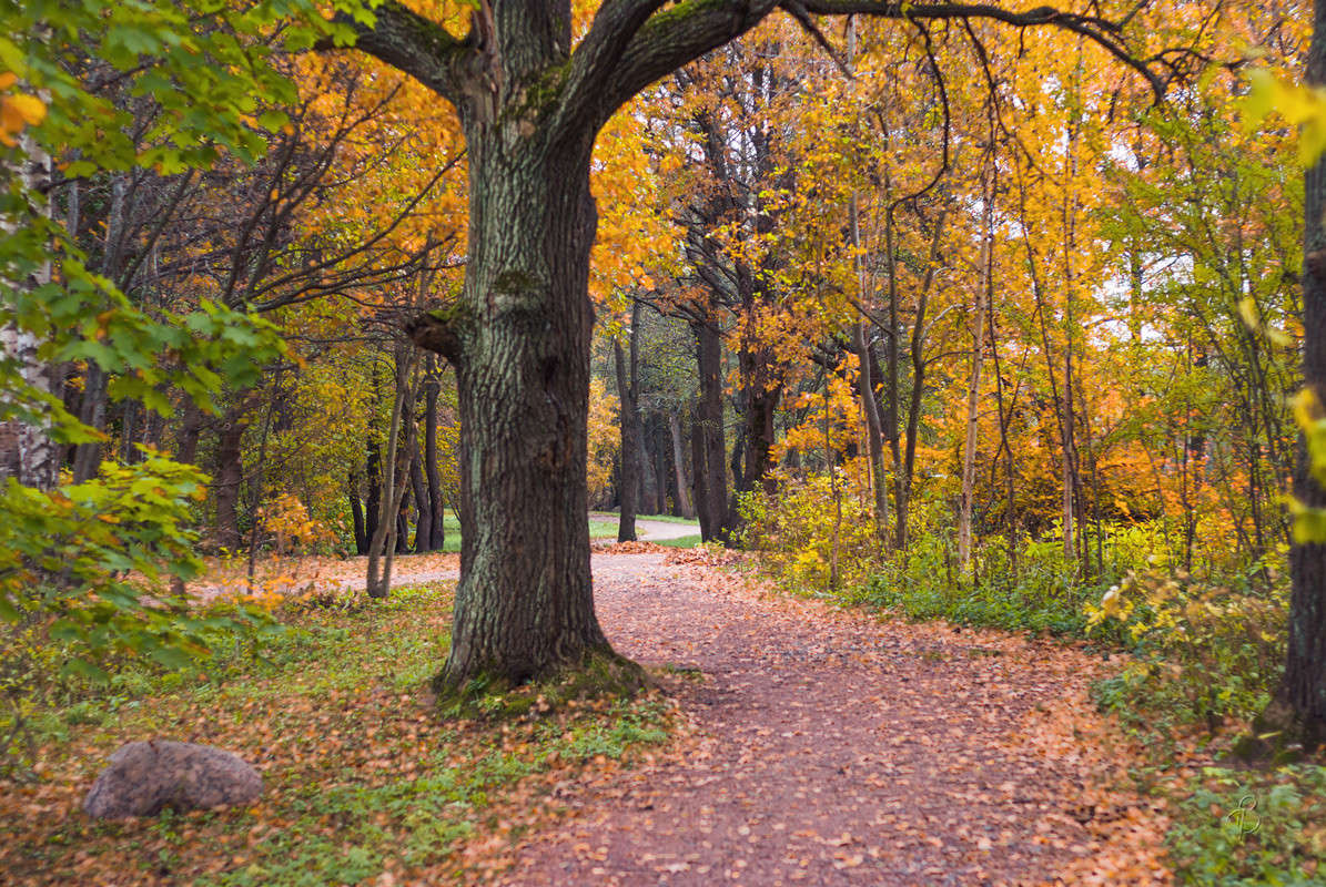 � ������� ���� ����� Vitaly Konakov �� PhotoGeek.ru #������ ��� ������� #����� ��������