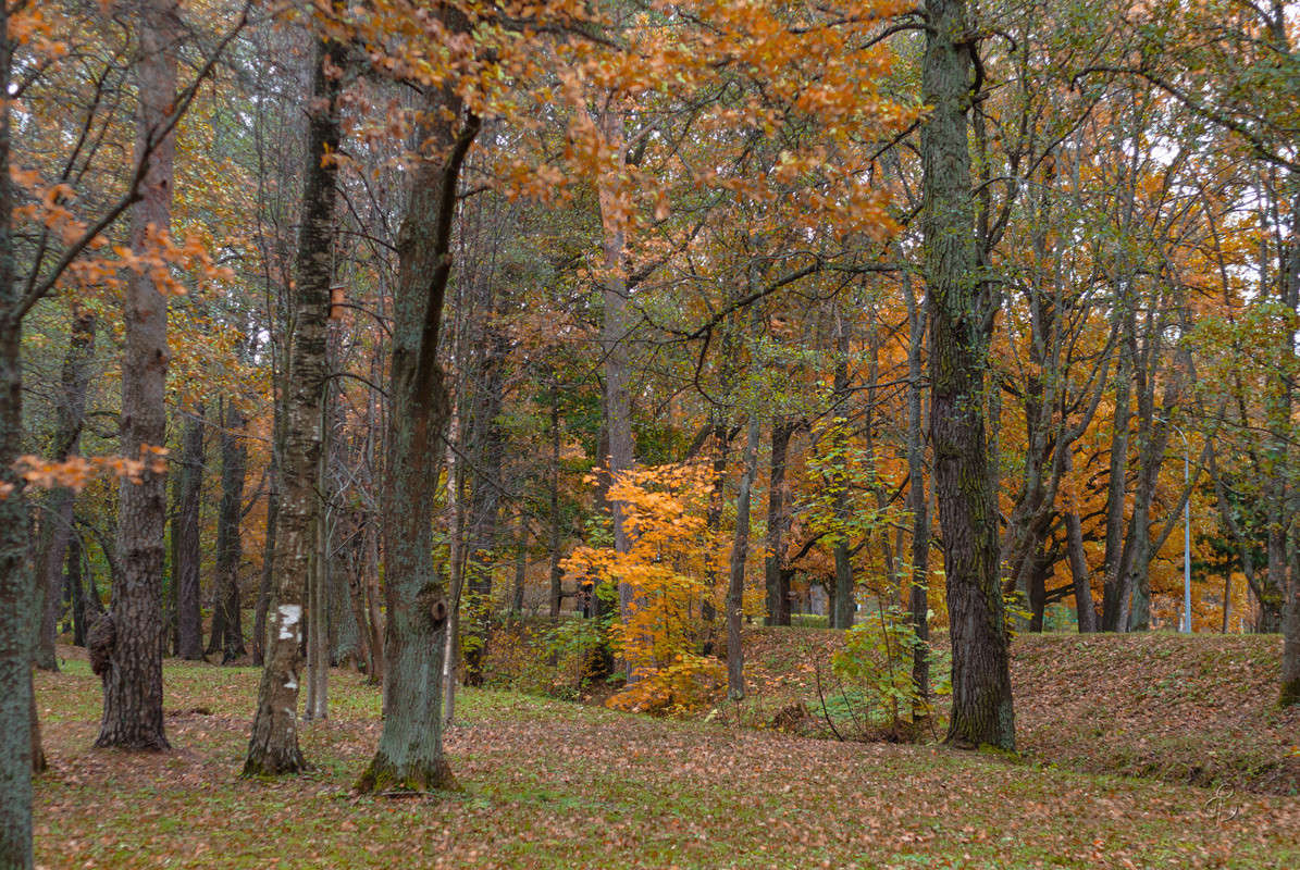 "������" ����� Vitaly Konakov �� PhotoGeek.ru #������ ��� ������� #����� ��������