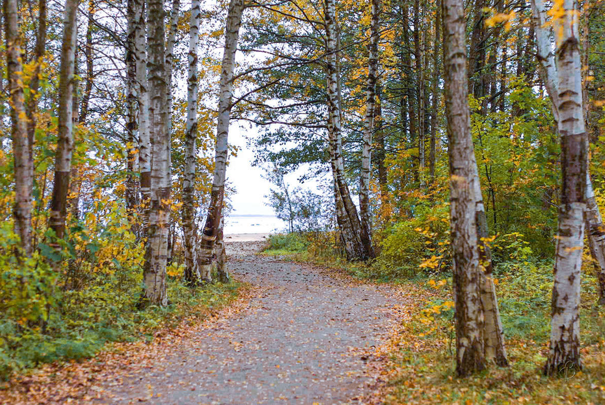 ������� � ������ ����� Vitaly Konakov �� PhotoGeek.ru #������ ��� ������� #����� ��������