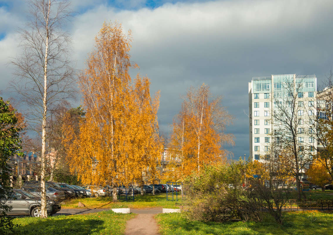 �������� ���������� ����� Vitaly Konakov �� PhotoGeek.ru #������ ��� ������� #����� ��������