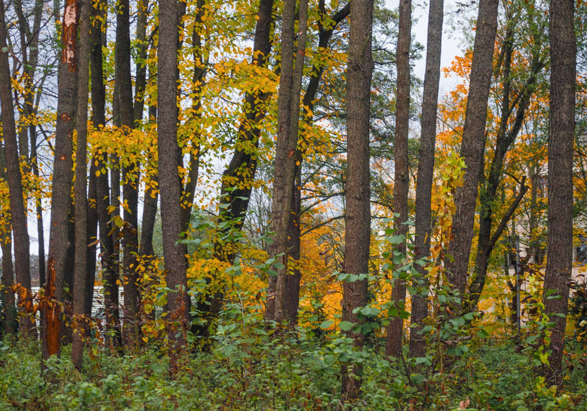 ������� ��������� ����� Vitaly Konakov �� PhotoGeek.ru #������ ��� ������� #����� ��������