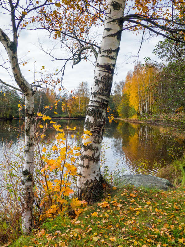 ���� � ������� ����� Vitaly Konakov �� PhotoGeek.ru #������ ��� ������� #����� ��������