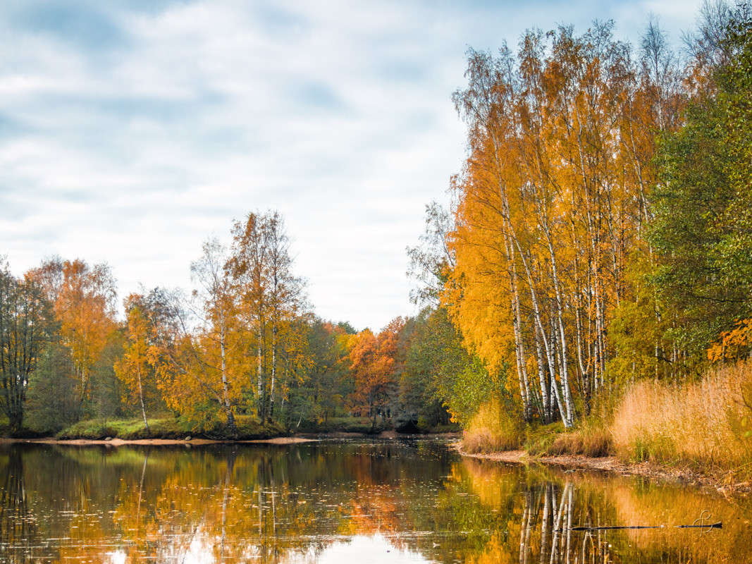 �� ������ ����� ����� Vitaly Konakov �� PhotoGeek.ru #������ ��� ������� #����� ��������