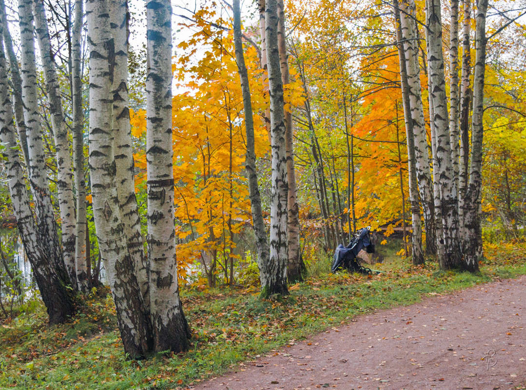 ���� � ������� ����� Vitaly Konakov �� PhotoGeek.ru #������ ��� ������� #����� ��������