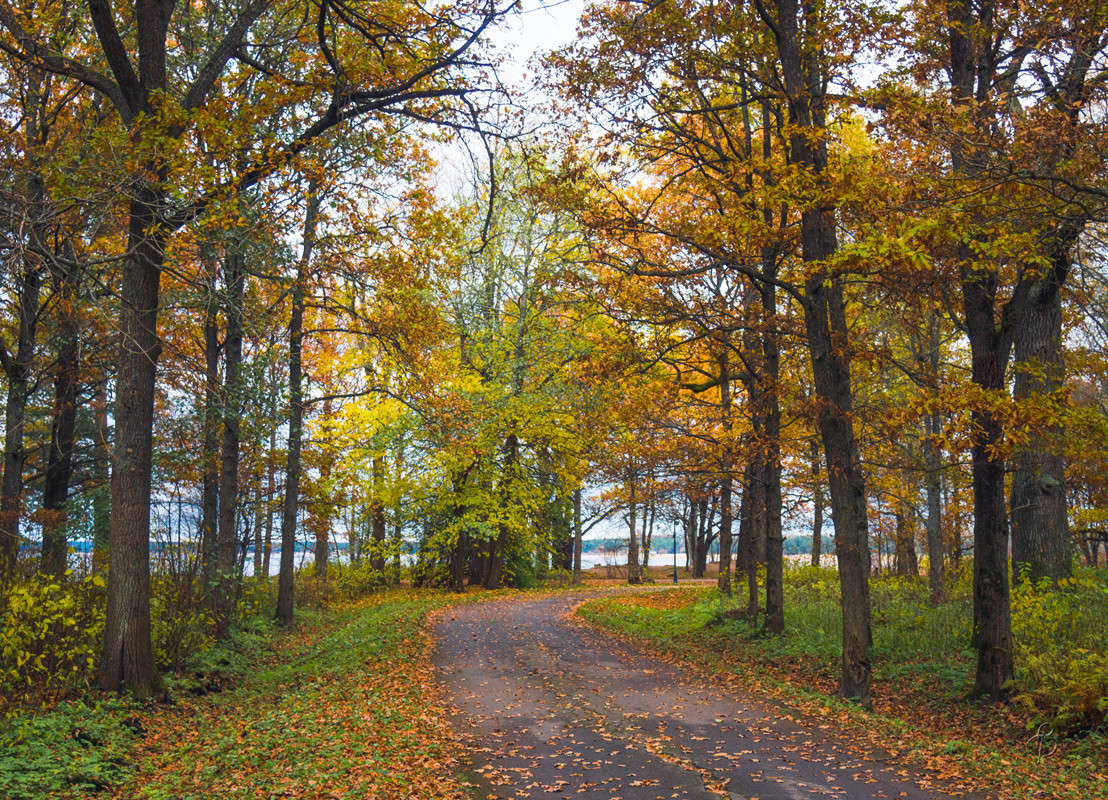 ���� � ������� 2 ����� Vitaly Konakov �� PhotoGeek.ru #������ ��� ������� #����� ��������