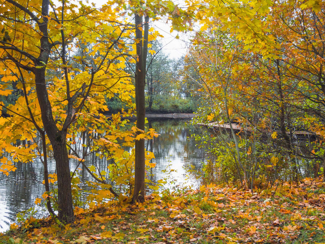 что ловится в октябре