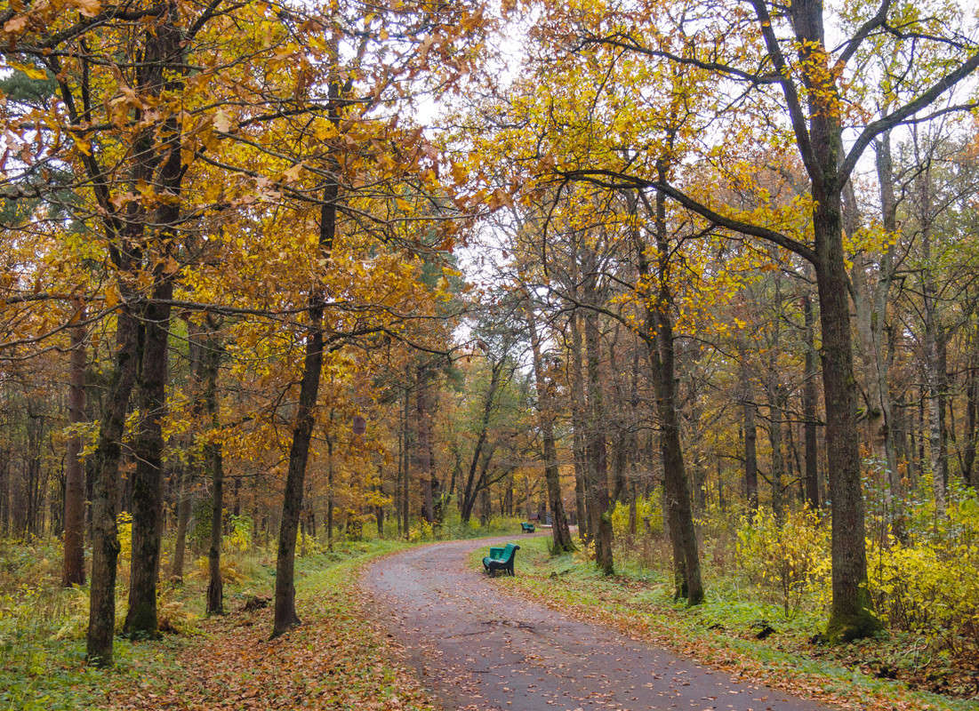 ���� � ������� 4 ����� Vitaly Konakov �� PhotoGeek.ru #������ ��� ������� #����� ��������