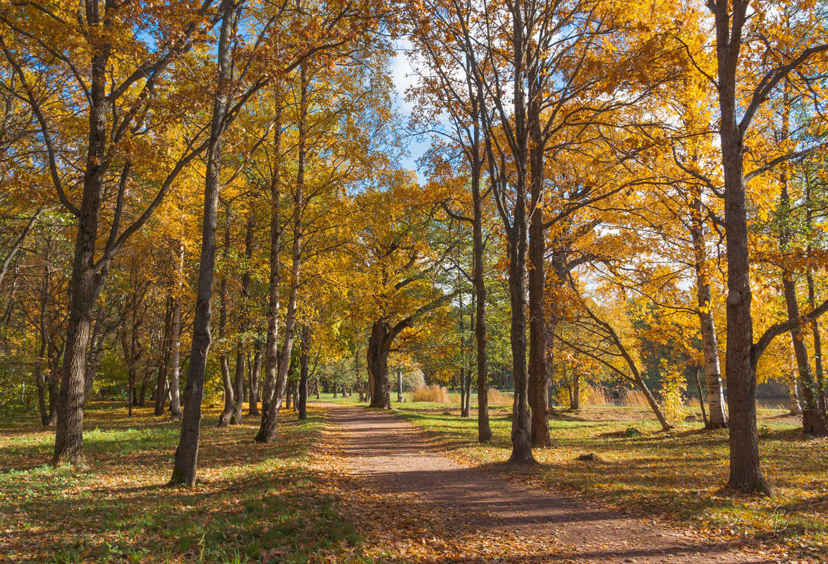 ������ ���� ����� ����� Vitaly Konakov �� PhotoGeek.ru #������ ��� ������� #����� ��������