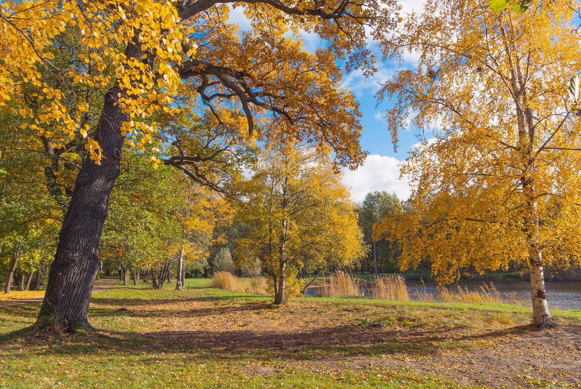 ������ ���� ����� 2 ����� Vitaly Konakov �� PhotoGeek.ru #������ ��� ������� #����� ��������
