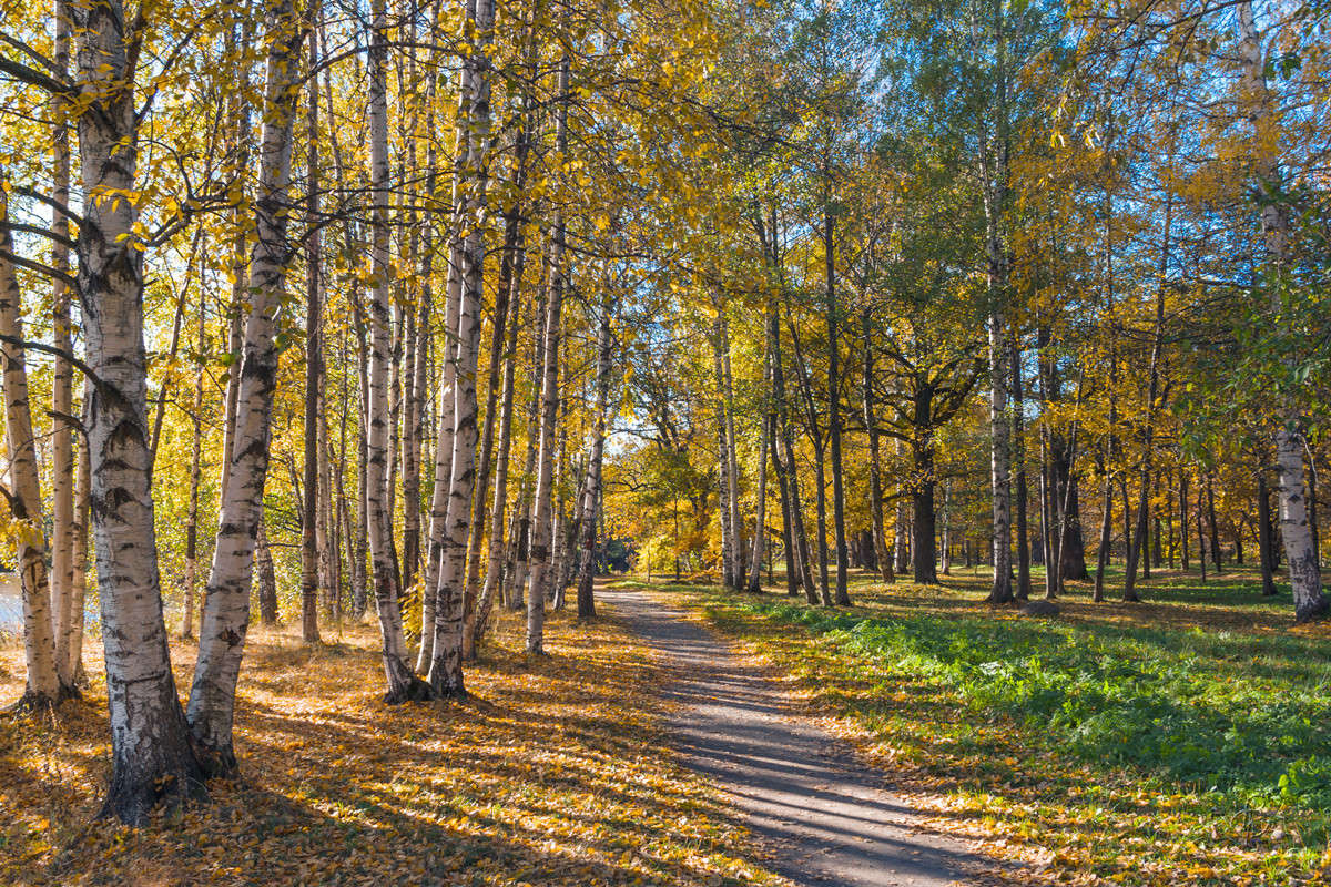 ������ ���� ����� 3 ����� Vitaly Konakov �� PhotoGeek.ru #������ ��� ������� #����� ��������