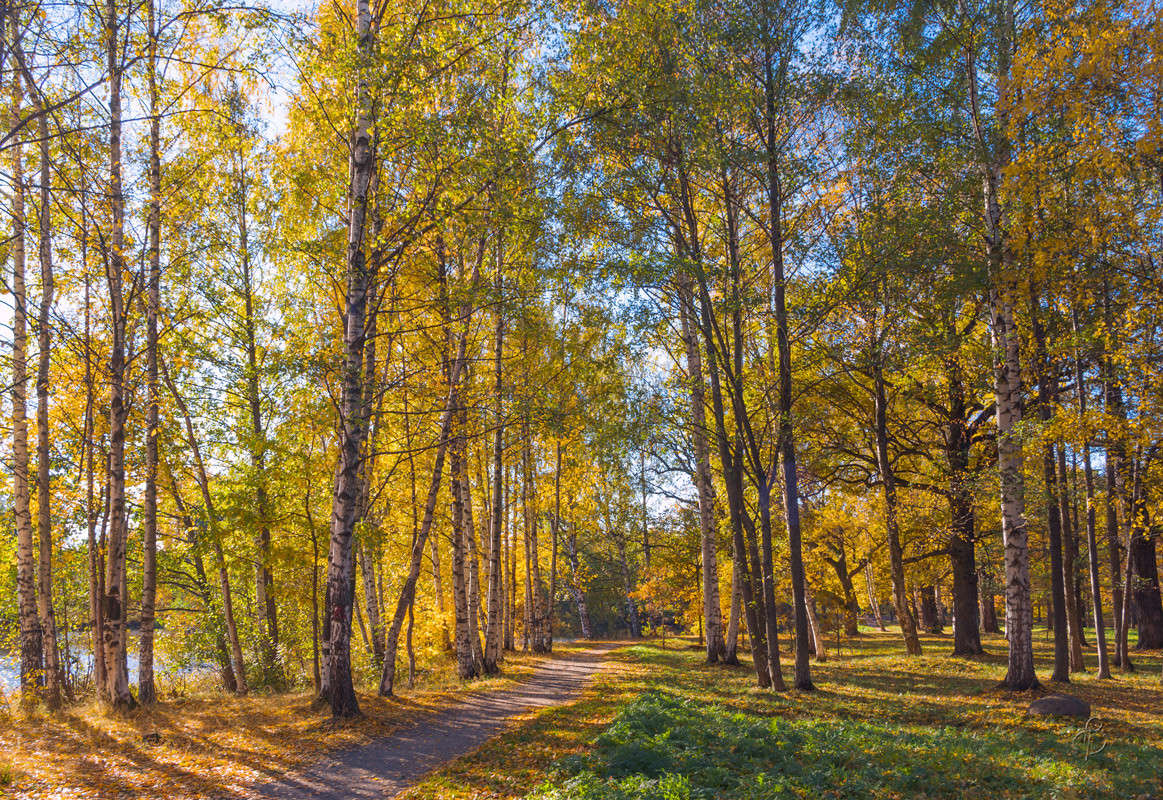 ������ ���� ����� 4 ����� Vitaly Konakov �� PhotoGeek.ru #������ ��� ������� #����� ��������