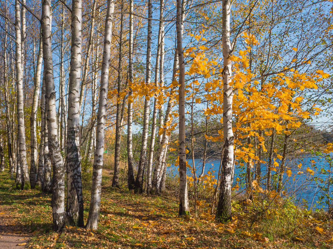 ������� ����� � ����� ����� Vitaly Konakov �� PhotoGeek.ru #������ ��� ������� #����� ��������