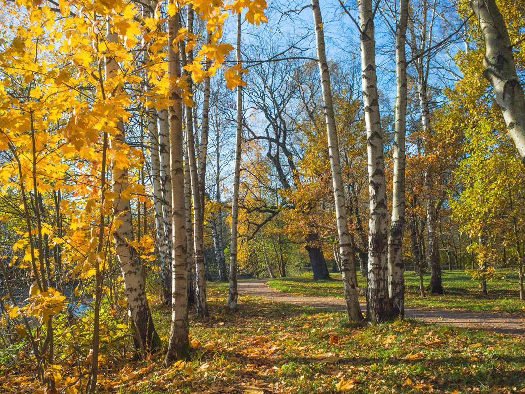 ������� ����� � ����� 2 ����� Vitaly Konakov �� PhotoGeek.ru #������ ��� ������� #����� ��������