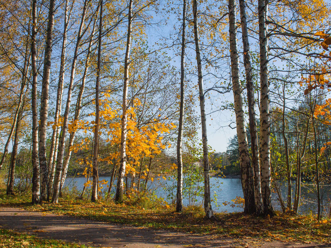 ������� ����� � ����� 3 ����� Vitaly Konakov �� PhotoGeek.ru #������ ��� ������� #����� ��������