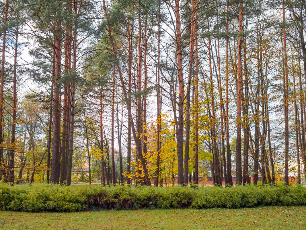 ����� � ������ ����� ����� Vitaly Konakov �� PhotoGeek.ru #������ ��� ������� #����� ��������