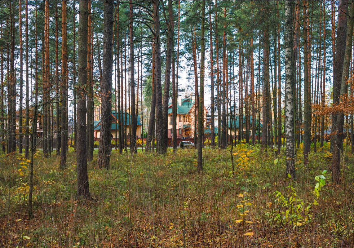 ����� � ������ ����� 3 ����� Vitaly Konakov �� PhotoGeek.ru #������ ��� ������� #����� ��������